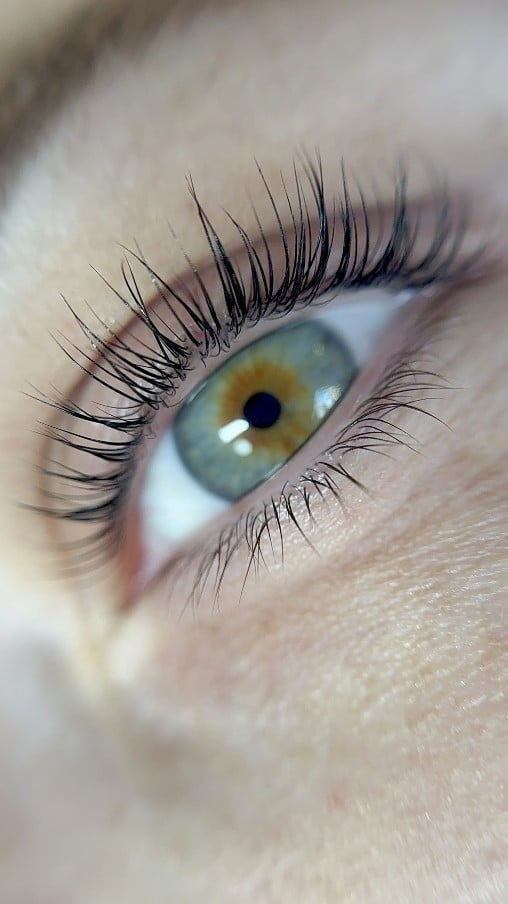 lashes and brows in winnipeg